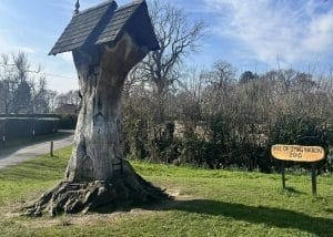 Tree of Imagination